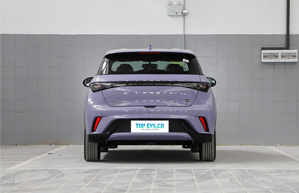 BYD Dolphin