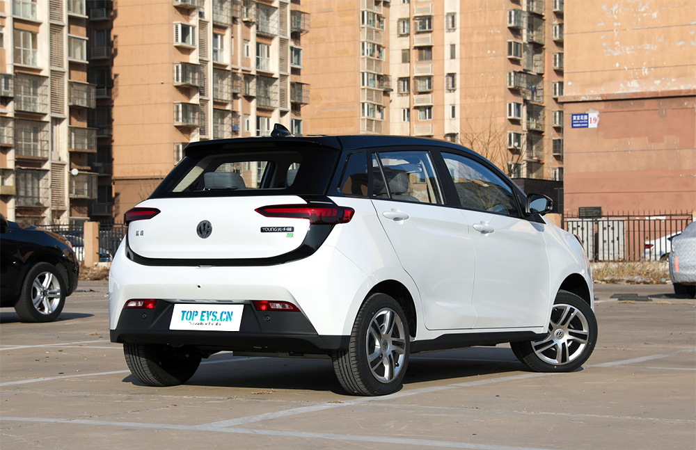 Eiectric house YOUNG Guangxiaoxin