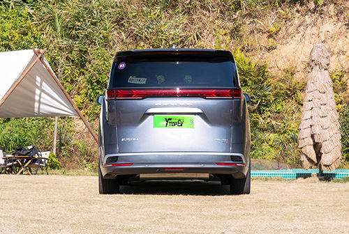 Denza D9 maintenance schedule​