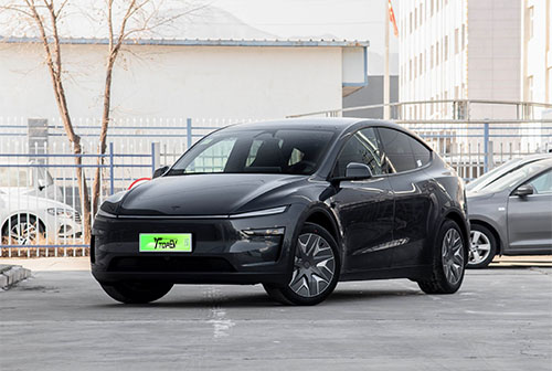 tesla model y l china​