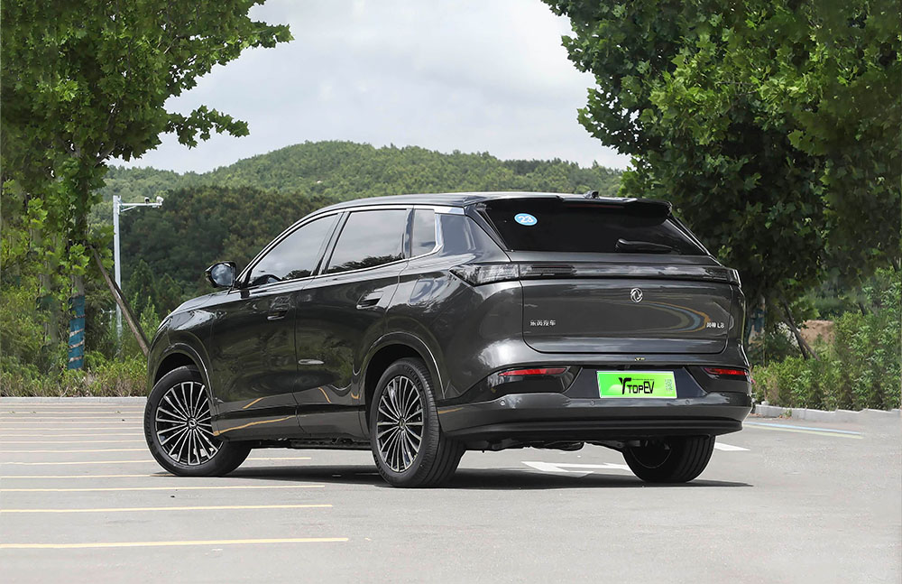 Dongfeng Fengshen L8 interior