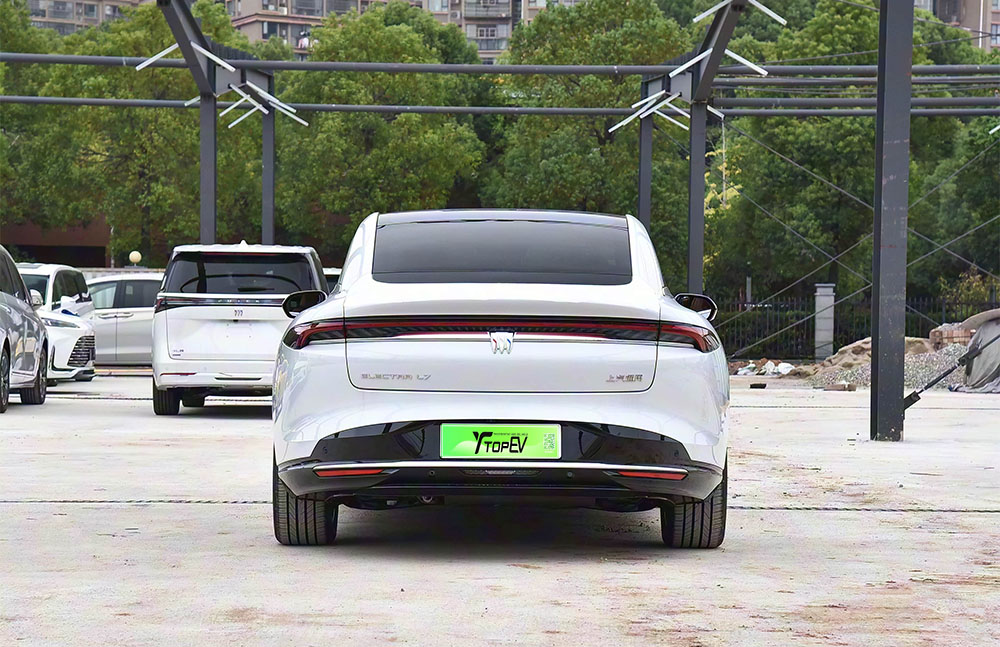 Buick Electra L7 spaces