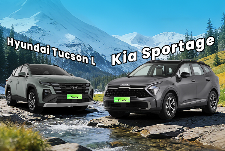 Kia Sportage vs Hyundai Tucson L SUV Ultimate Comparison: Which One Is Worth Buying?